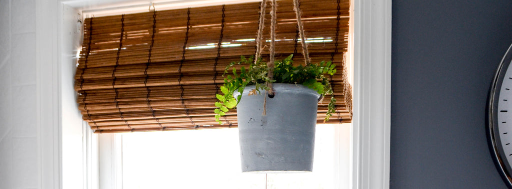 Hanging Planter and a Bathroom Facelift