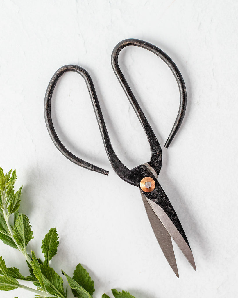 Black Vintage-Style Craft Scissors - Aimee Weaver Designs