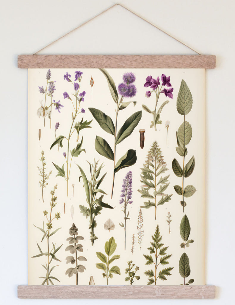 Lavender Botanicals | Vintage Canvas Art - Aimee Weaver Designs